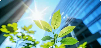Folhas verdes ao sol com luz brilhante e edifícios desfocados ao fundo, transmitindo natureza e sustentabilidade.